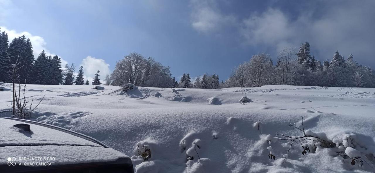 Chata Z Widokiem Na Babia Gore Pewel Wielka Zewnętrze zdjęcie